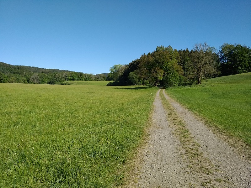 Wegeverlauf über weite, grüne Wiesen